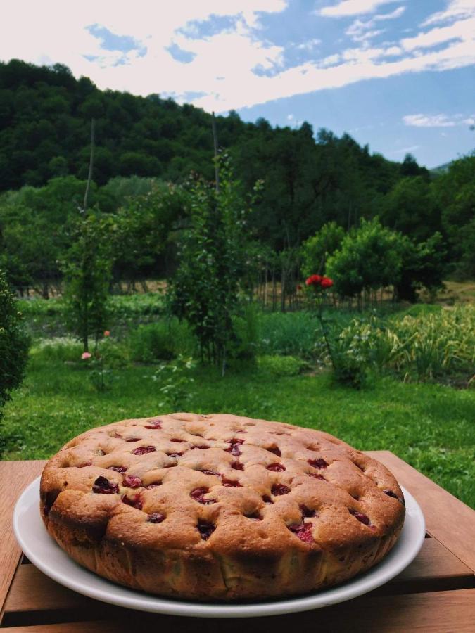 Leila'S Guest House Joqolo Εξωτερικό φωτογραφία