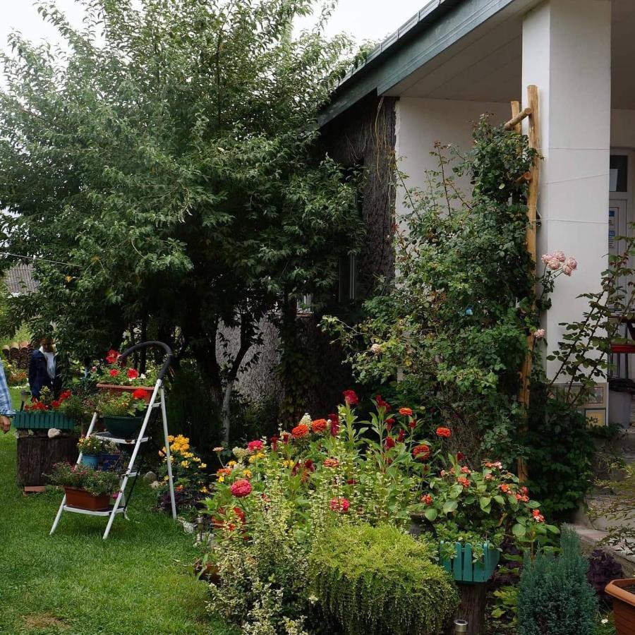 Leila'S Guest House Joqolo Εξωτερικό φωτογραφία