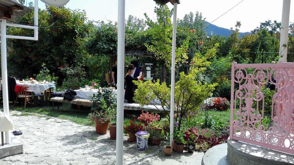 Leila'S Guest House Joqolo Εξωτερικό φωτογραφία